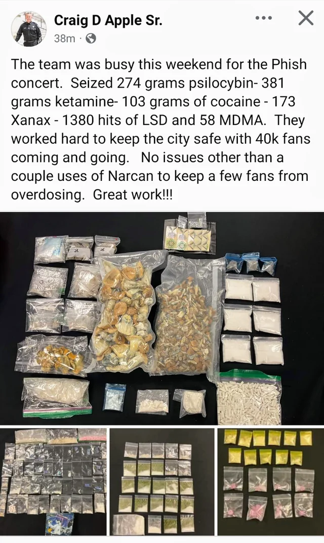 Albany county sheriff seized 1890 hits of lsd among other