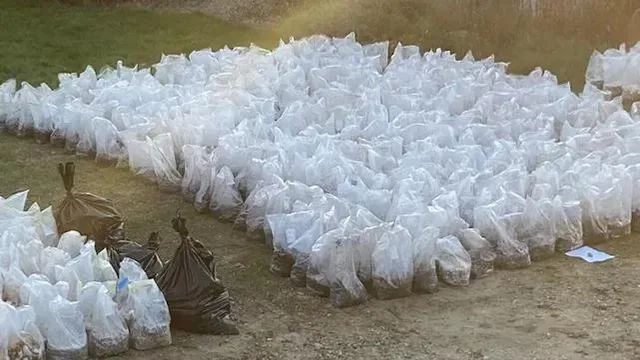 Massive Shrooms Operation Busted In Connecticut