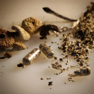 mushroom grow kit psilocybin, mushroom growing kit psilocybin, psilocybin mushroom growing kit​, can you smoke psilocybin mushrooms, drying psilocybin mushrooms​, order psilocybin mushrooms online​, psilocybin mushroom grow kits, psilocybin mushrooms kits, how to dry psilocybin mushrooms, psilocybin mushroom buy, psilocybin mushroom kit​, are psilocybin mushrooms addictive​, psilocybin azurescens​, psilocybin growth kit, grow your own psilocybin mushrooms, how to store psilocybin mushrooms​, psilocybin grow kit, australian psilocybin mushrooms​, buy psilocybin mushrooms, can you smoke psilocybin mushrooms, picking psilocybin mushrooms, where to buy psilocybin mushrooms​, buy psilocybin, where can i buy psilocybin mushrooms, buy psilocybin mushrooms online, price of psilocybin mushrooms, psilocybin mushroom cost, order psilocybin mushrooms online, psilocybin depression, psilocybin depressionen,psilocybin studie teilnehmen, psilocybine depression, psilocybin azurescens, psilocybin mushroom art, psilocybine microdosing​, psilocybine therapie baden württemberg​, psilocybin dosierung, essai clinique psilocybine france​, psilocybine achat, psilocybine et bipolarité​, psilocybin azurescens, microdosage psilocybine avis, psilocybine acheter, acheter psilocybine​, psilocybin mushroom grow kit, how much does psilocybin cost​, can psilocybin mushrooms go bad, do psilocybin mushrooms go bad, psilocybin mushrooms bc, psilocybine québec, are psilocybin mushrooms addictive, psilocybin mushroom art​, picking psilocybin mushrooms, psilocybin tolerance calculator, growing psilocybin mushrooms at home,